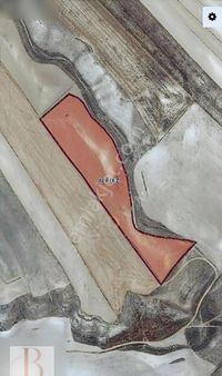 Mahmudiye Çal Mahallesinde 22 Dönüm Satılık Tarla