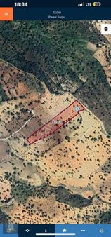 Satılık Bağ Bahçe Tek Tapu