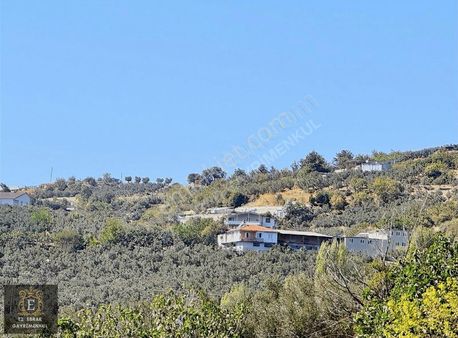 Mudanya İpekyayla'da 2000 M2, Yatırımlık Arazi