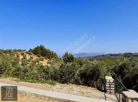 Mudanya Çepni'de 2500 M2, Yatırımlık Arazi