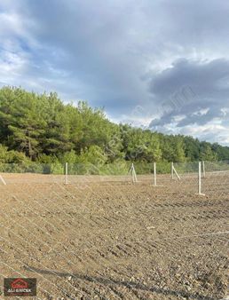 Daha Uygunu Yok Fırsat Kupon Yer