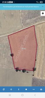 Bucak’ta Tek Tapu 3.979 M² Tarla –yatırımcıya Kaçırılmaz Fırsat!