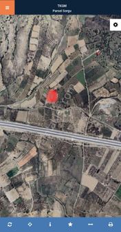 Isparta Merkez Gelincik