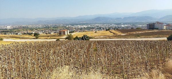 E.m.a Emlak Gayrimenkul Güvencesinde İnegöl Akhisar Mahallesi'nde Manzaralı Arsa