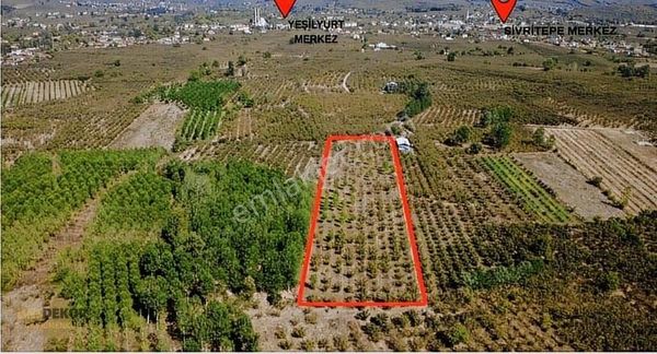 Başdekor Gayrimenkul'den Satılık 13.772 M2 Fındık Bahçesi