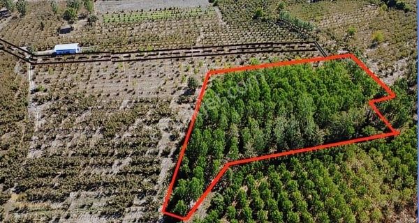 Başdekor Gayrimenkul'den Satılık 6.614 M2 Kavaklık