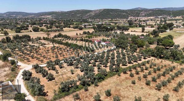 Muğla Meneteşe Yerkesik'te Satılık Arazi