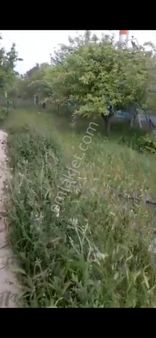 Karakoç Gayrimenkul Güneydere Botsada Satılık 499 M2 Mustakil Tapu Hazır Bahçe Evi