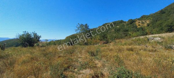 Remax Mavi Erol Çekcan Dan Geyve Bağlarbaşında Satılık Arazi.