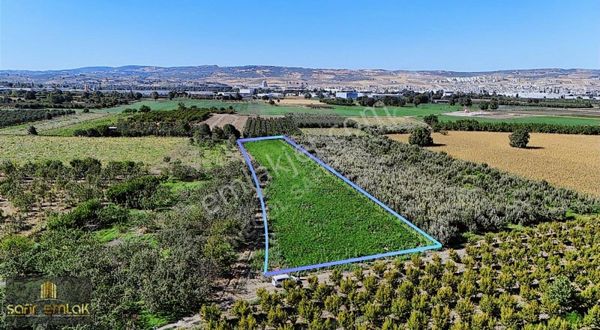 İnegöl'ün Verimli Ovasındaki Edebey Mahallesinde Satılık Tarla