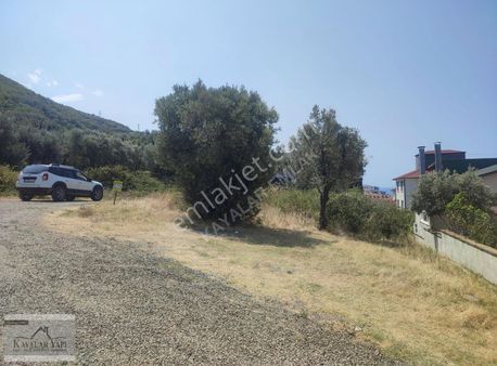 Esenköykanarya Da Satılık İmarlı Arsa