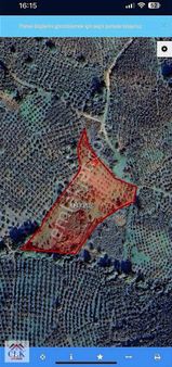 Clk'dan Şile Geredeli De Satılık Arsa