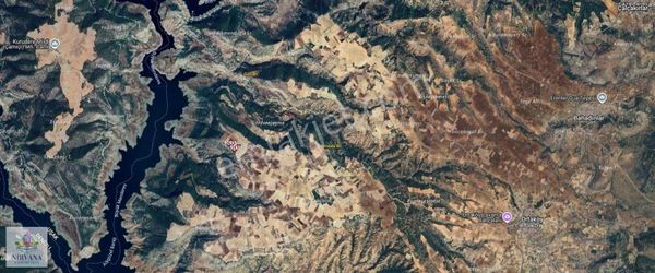 Çal Ortaköyde 18.5 Dönüm Bakımlı Bağ