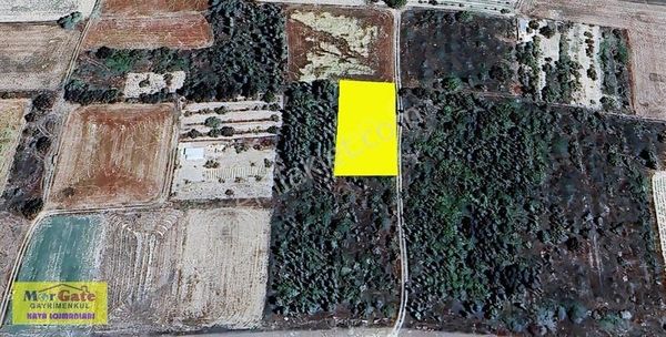 Morgate Gayrimenkul'den Hatunsaray'da 1418m2 Müstakil Tarla