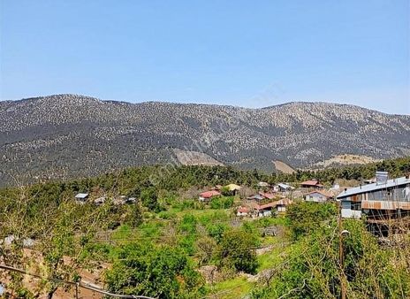 Yerleşim Dibinde Hesapli Bahçe