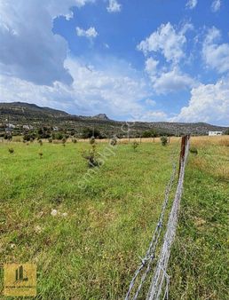 Kozan Gayrimenkul'den Ağlıboğaz'da 500 M2 Yol Kenarı