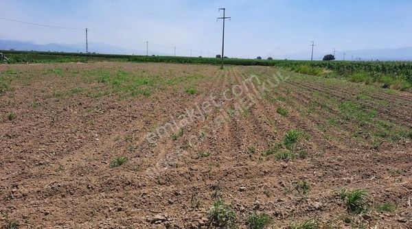 Rosa Gayrimenkul'den Yeşilova Köyünde 4911 M² Satılık Tarla