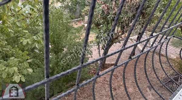 Yüksek Kârlı Çiftik Ve Fıstıklık