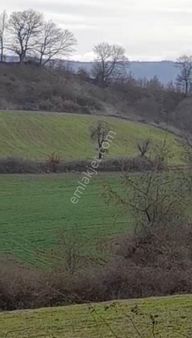 Çanakkale Çan İlçesi Altıkulaç Köyünde Yatırımlık Fırsat Arazi 14.100 Metre Kare