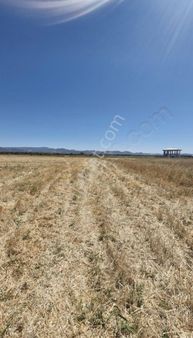 Gömeç Sahilde En Uygun Fiyatlı Denize Yakın 2 Villa Arsası