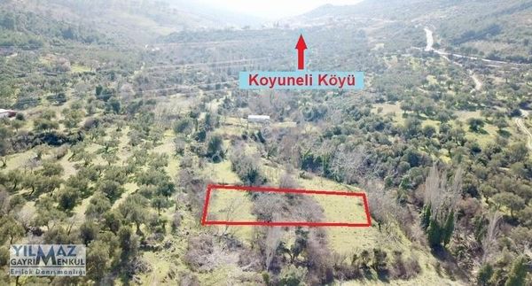 Fırsat ! Bergama Koyuneli Yatırımlık 900 M2 Satılık Bahçe