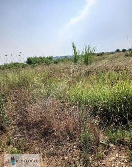 Sera Yapmaya Uygun Tek Tapu Sorunsuz Yolu Olan Arazi