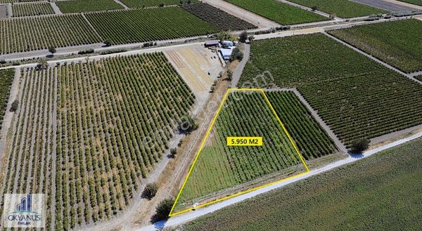 5.950 M2 Bağ , 85 Mt Resmi Yola Cepheli, Elektrik Su Var