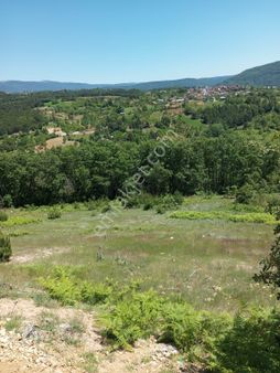 Bursa Küçük Deliler De Yola Cephe Satılık Tarla