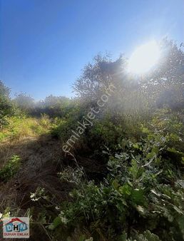 Duhan Emlak'tan Safran Köyün'de 3.212m2 Tarla İmara 300 Metre