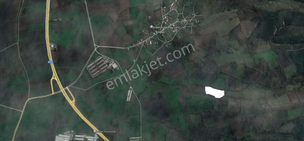 M.kemalpaşa Boğaz Köyün'de Satılık 11.500 M2 Tarla Yolu Var