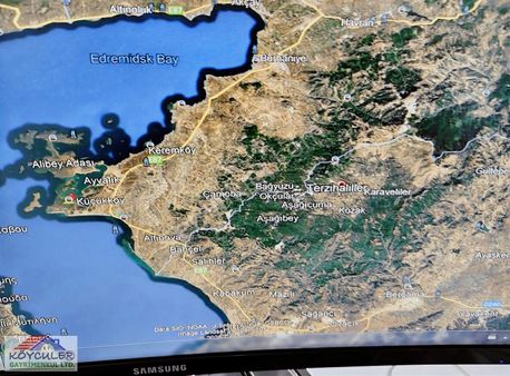 Bergama Terzihalliller Köyünde Acil Satılık Tek Tapulu Arsa