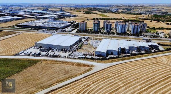 Medetoğlu Gayrimenkul'den Kızılpınar Da Satılık 16.500 Tek Tapu