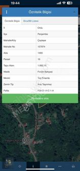 Ordu Perşembe Çaytepe Köyünde Müstakil Tek Tapu Fındık Bahçesi