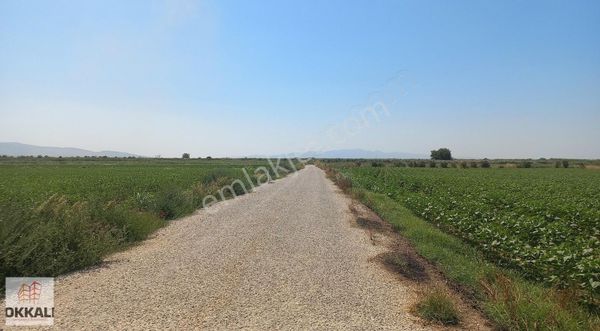 Okkalı Emlak Tan Menemen Musabey Köy De Satılık Tarla