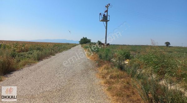 Okkalı Emlak Tan Menemen Kesik Te Satılık Tarla