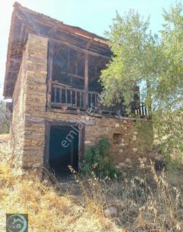Bozdoğan Pınarlı'da Satılık İncirlik