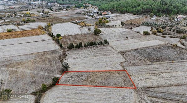 Fethiye Üzümlüde Müstakil Parsel 1954 M2 Satılık Tarla