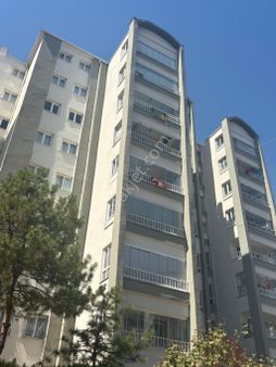 Rüya’dan Memura Kiralık 3+1