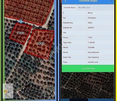 The World Seller'den Sölözde Yola Cephe Göl Manzaralı Zeytinlik