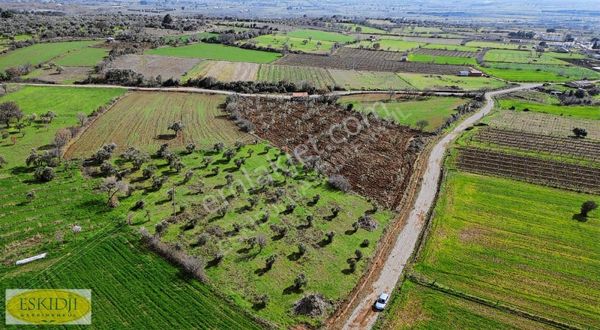 Çanakkale Bayramiç Ahmetçeli Köyü Yola Cephe 5.400 M² Tarla
