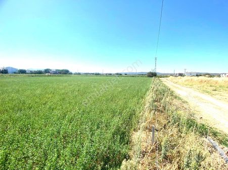 Aktiften Gömeç Yaya'da %20 İmarlı 472 M2 Denize Yakın Konumda Satılık Villa Arsası