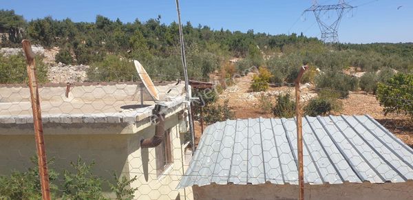 Silifke-çaltıbozkır'da Deniz Manzaralı, Yüksek Rakımlı Tarla