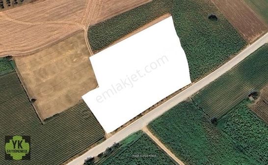 Bursa Yenişehir Kavaklı Da 7.050 M² Yola Cephe Tarla