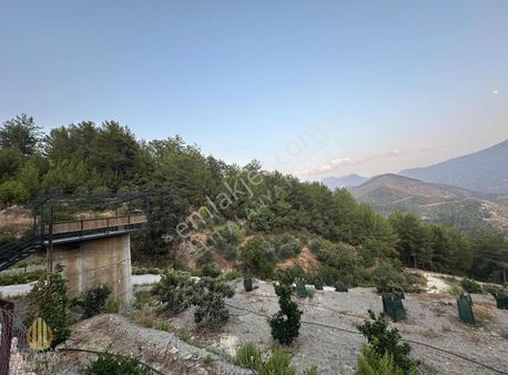 Satılık 2.200 M2 Doğanın Kalbinde En Uygun Fiyat