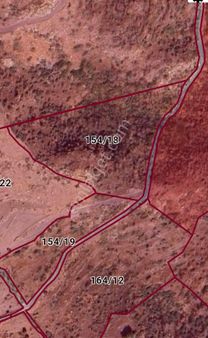 Cazip Fırsat! Kadastral Yolu Açılmış 8735 M2 Zeytinli Tarla