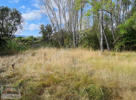 Eldivan Saray Köy Satılık Tarla