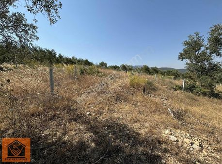 Bozköy'de Satılık 576 M2 Arsa Elektrik Su Var