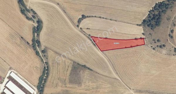 Bizim Emlaktan Merkez Hacımuharrem Koyunde Satılık Tarla