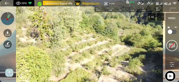 Düzce Merkez Şekerpınar 2326 M2 Yola Cephe Fındık Bahçesi