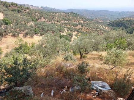 Ahmetçe Altında Zeytinlik Manzara Var Dağmanzaralı